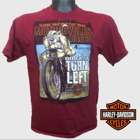Harley-Davidson Other - Harley-Davidson Looney Toons T-Shirt
